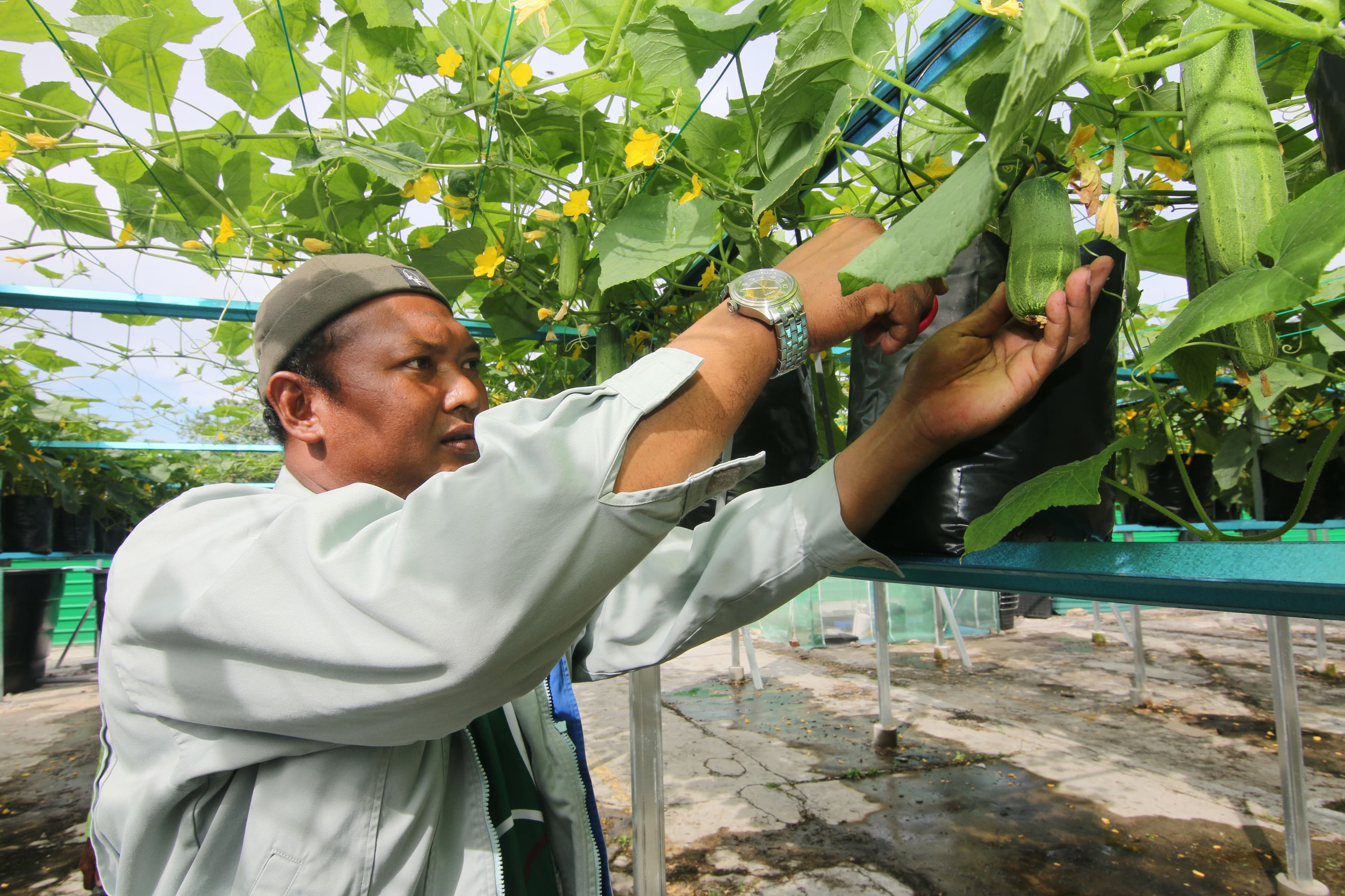 Data Driven: Empowering and uplifting agrofood farmers