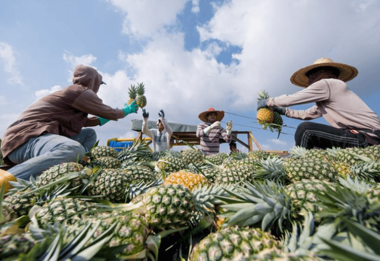 FarmByte manfaatkan perkhidmatan Awan AWS, ubah industri agromakanan di Malaysia